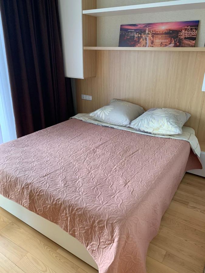 Comfortable Apartments French Quarter Акумулятори Світло Інтернет Завжди Kiev Bagian luar foto